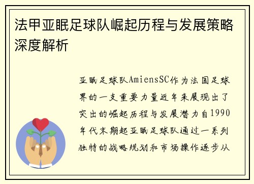 法甲亚眠足球队崛起历程与发展策略深度解析