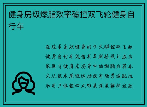 健身房级燃脂效率磁控双飞轮健身自行车